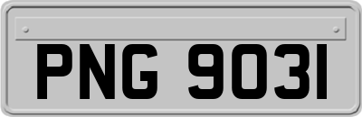 PNG9031