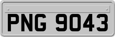 PNG9043
