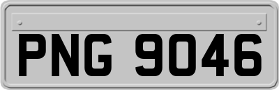 PNG9046