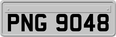 PNG9048
