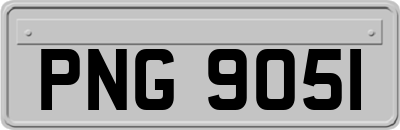 PNG9051