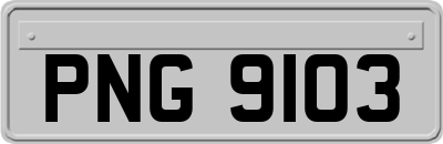 PNG9103