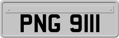 PNG9111