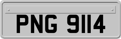 PNG9114
