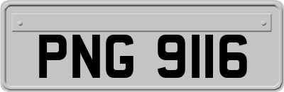 PNG9116