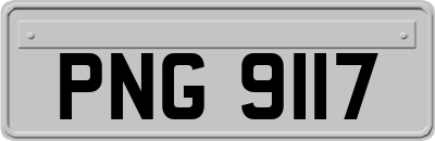 PNG9117