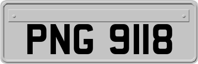 PNG9118