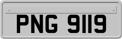 PNG9119