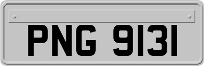 PNG9131