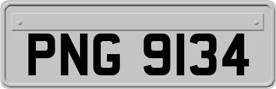 PNG9134