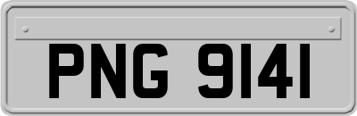 PNG9141