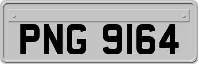 PNG9164