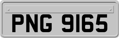PNG9165