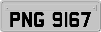 PNG9167