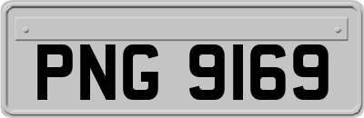 PNG9169