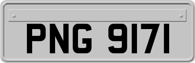 PNG9171