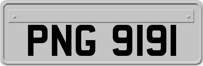 PNG9191