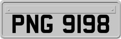 PNG9198