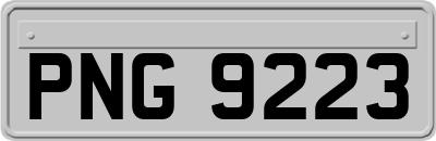 PNG9223