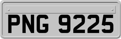 PNG9225