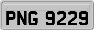 PNG9229