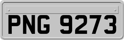 PNG9273
