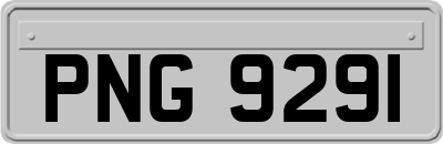 PNG9291
