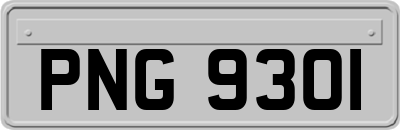 PNG9301