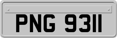 PNG9311