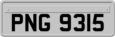 PNG9315