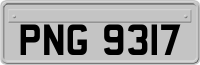 PNG9317