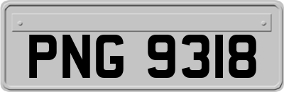 PNG9318
