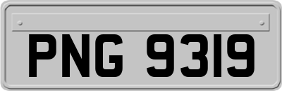 PNG9319