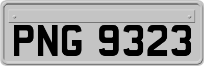 PNG9323