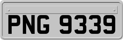 PNG9339