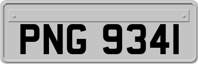 PNG9341