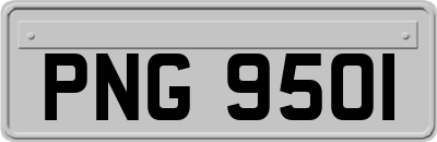 PNG9501