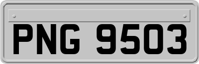 PNG9503
