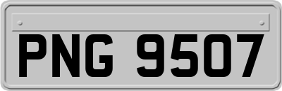PNG9507