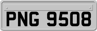 PNG9508