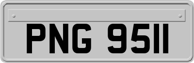 PNG9511