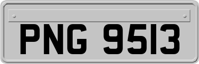 PNG9513