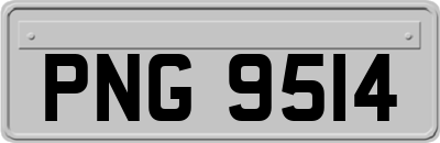 PNG9514