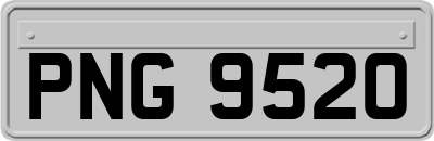 PNG9520