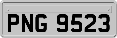 PNG9523