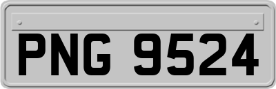 PNG9524