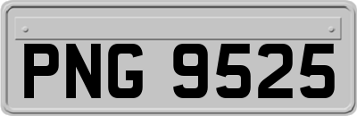 PNG9525