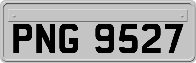 PNG9527