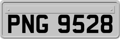 PNG9528