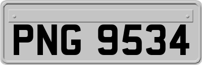 PNG9534